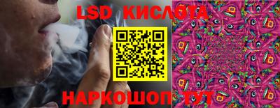 Альфа ПВП Канаш