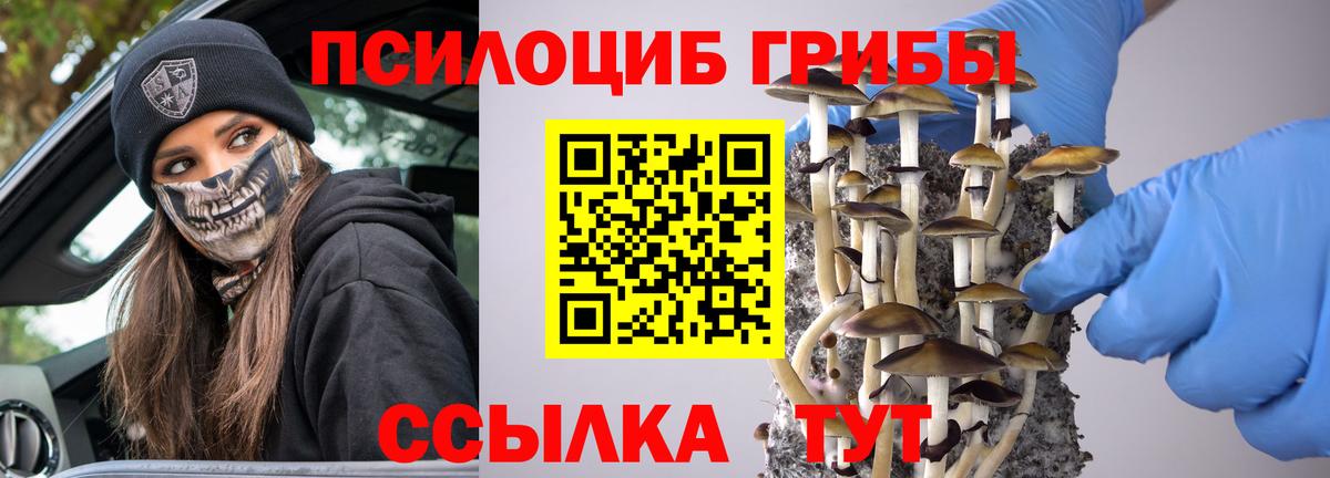 Галлюциногенные грибы мухоморы  как найти закладки  Псилоцибиновые грибы Magic Shrooms  Ялуторовск  Вход с VPN 